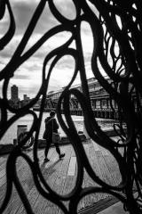 Through the Fence - Nigel Streatfield
