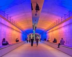 Through the Tunnel - Judith Bennett