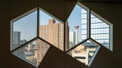 Through the window - Robyn Miller