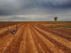 Tibooburra - Carol Abbott