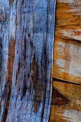Timber Textures - Margaret Frankish