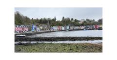 Tobermory - Maureen Rogers