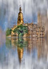 Town Hall Reflections - Steve Mullarkey