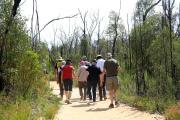 Track-to-Sandstone-Caves - Jan Glover