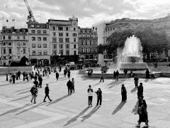 Trafalgar Square - Maureen Rogers