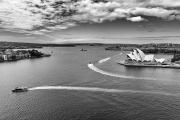 Trails in the Harbour - Nigel Streatfield