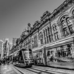 Tram Stop - QVB - Steve Mullarkey