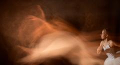 Transformation - Brett Handley