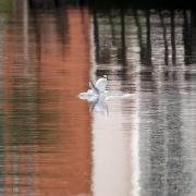 Transition point - Louise Scambler