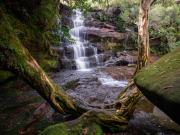 Tree-framed-Somersby-Falls-WEB - Janice Gursanscky