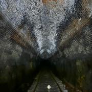 Tunnel Ball - Margaret Frankish