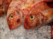 Twins ? - Steve Mullarkey