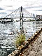 Two Bridges and Some Grass - Steve Mullarkey