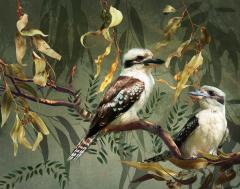 Two Kookaburras - Hemant Kogekar