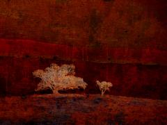 Two Tree Hill - Jan Glover