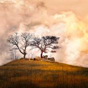 Two trees at sunset - Hemant Kogekar