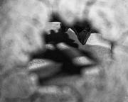 Uncertainty - Fran Brew