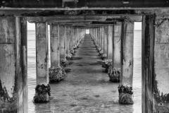 Under the board walk - David Hipsley