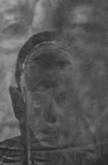 Untitled 5 - Bruce Wilson