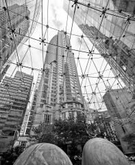 Urban Canopy - Judith Bennett