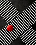 Crossing - Hemant Kogekar