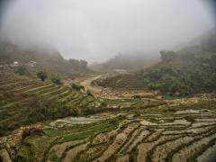 Vietnam fields - Peter Sambell