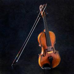 Violin - Judith Bennett