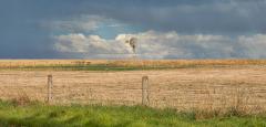 WINDMILL - Jennifer Gordon