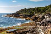 South Curl Curl - Freshwater - Queenscliff Beachs