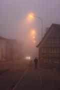 Walker in the Mist - ... ...
