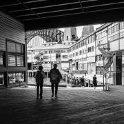 Walsh Bay - Judith Bennett