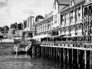 Walsh Bay - Judy Warburton