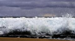 Warriewood Beach - Margaret Frankish