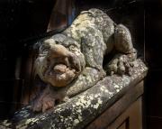 Watching you - Guy Machan