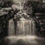 Water Feature - Fran Brew