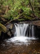 Waterfall Piles Creek -210310-58300 - Donald Gould