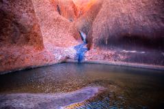 Waterhole - Denise Petrie