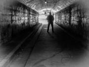 Tunnel vision - Judy Watman