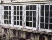 Windows - Judy Watman