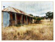 m Weathered-Barn Dawn Zandstra - ... ...