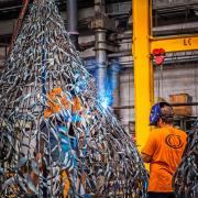 Welding a Tree House - Judith Bennett