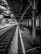 Wellington Station-2 - Steve Mullarkey