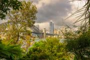 Wendy's-View-of-The-Bridge - Janice Gursanscky