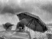 Wet Ferry Ride - Fran Brew