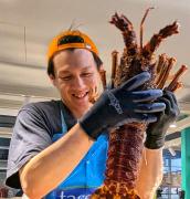 What a whopper - Judith Bennett