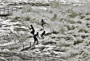 Why would you do it - ... ...