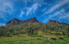 Widden Valley NSW - Carol Abbott