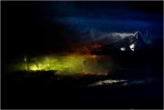 Wild 800px - ... ...