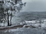 Wild Weather - Fran Brew