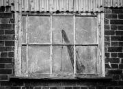 Window - Judith Bennett